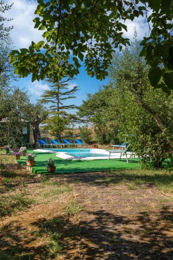 La Meriggia Agriturismo- Ampio Appartamento Con Terrazza Esclusiva Анкона Экстерьер фото