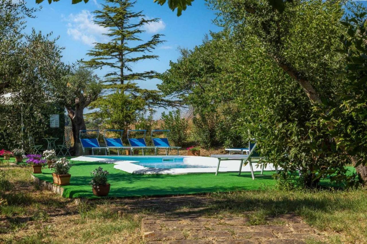 La Meriggia Agriturismo- Ampio Appartamento Con Terrazza Esclusiva Анкона Экстерьер фото